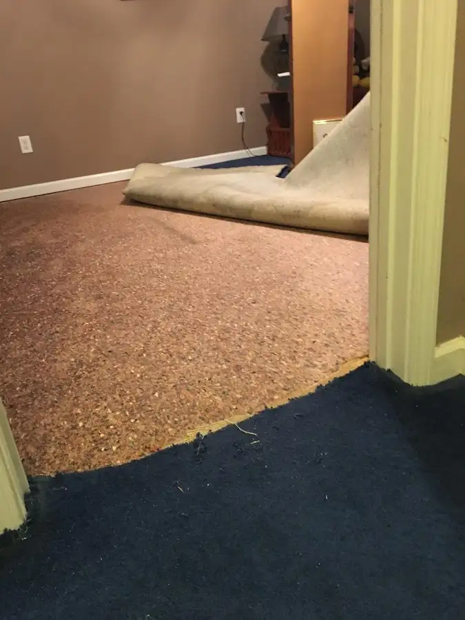 Carpet pad removal revealing water damage during Drying & Dehumidification in New Holland